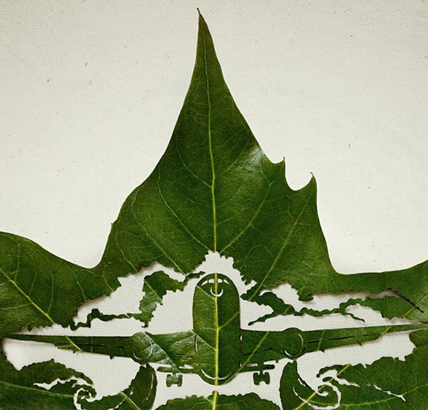 Airplane Carved In A Leaf