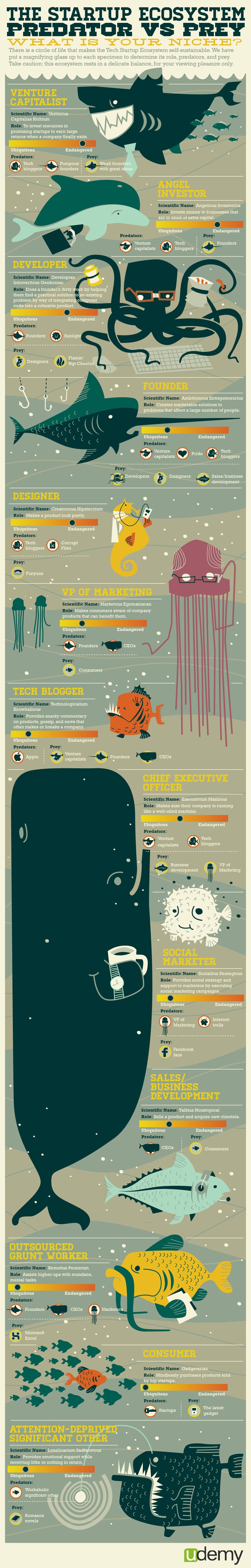 startup-ecosystem-role-infographic