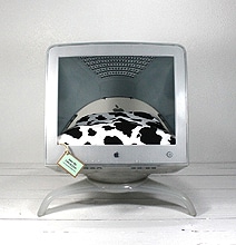 The Mac Apple Studio Display Cat Bed Mod The Mac Apple Studio Display Cat Bed Mod