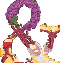 Ampersand Food Groups: Foodie Fun With Typography