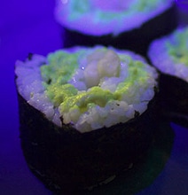 Glow-In-The-Dark Sushi Made With Genetically Modified Fish