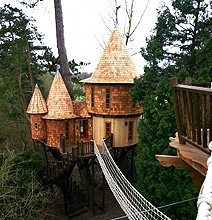 Amazing Treehouse Castle For Grownups