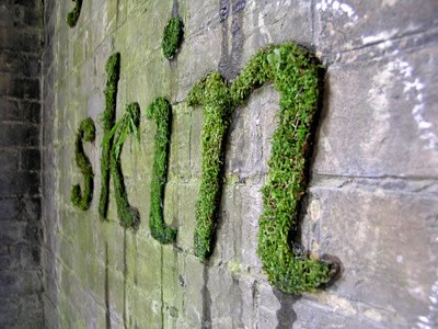 natural-green-moss-graffiti