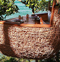 The Bird’s Nest Restaurant: Dine Peacefully While Sitting In A Tree The Bird’s Nest Restaurant: Dine Peacefully While Sitting In A Tree