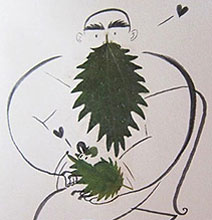 Creative Sketches Drawn Around Pressed Leaves Creative Sketches Drawn Around Pressed Leaves