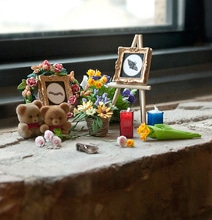 Bug Memorials: Paying Respect To Dead Bugs On The Street