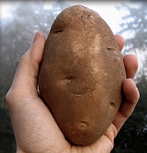 How To: Peel A Potato In 10 Seconds How To: Peel A Potato In 10 Seconds