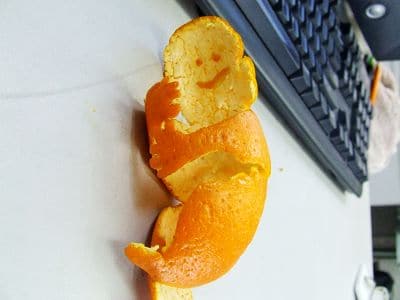 fruit rind sculpture person