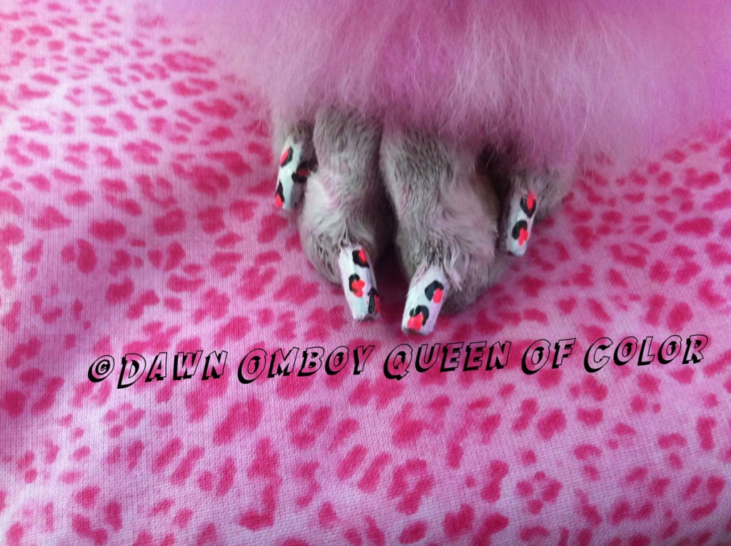 Doggie Pedicures Transform Your Pup Into A Beauty Queen Bit Rebels