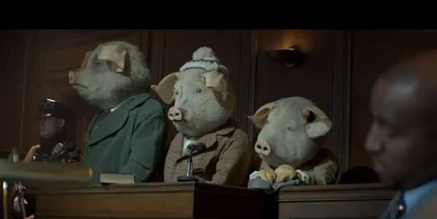 pigs courtroom on trial