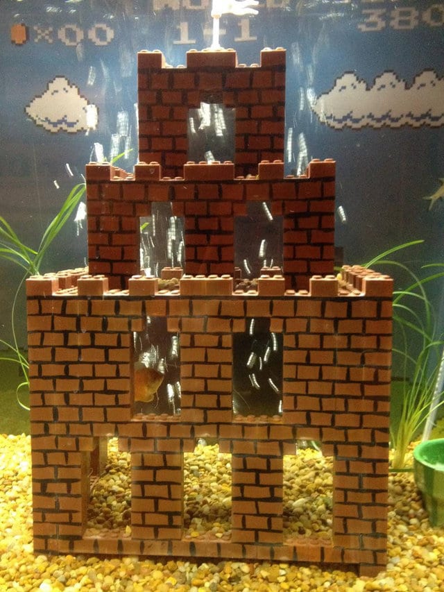 super-mario-aquarium-build