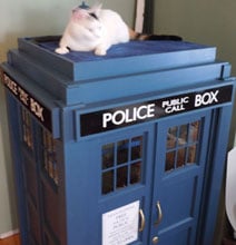 DIY Kitty TARDIS Playhouse For Cats Who Love The Doctor