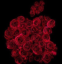 Famous Logos Redesigned With Red Roses
