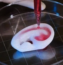 How 3D Printing The Human Body Works [Infographic]