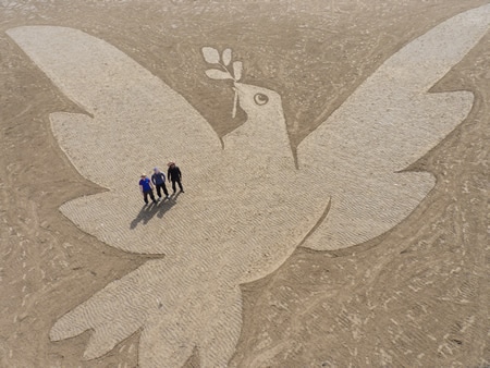 beach art bird peace