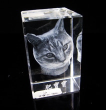 3D Crystal Engraving Puts 3D Photographs On Your Bookshelf