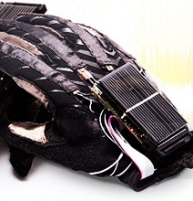EnableTalk Gloves Translate Sign Language To Speech EnableTalk Gloves Translate Sign Language To Speech