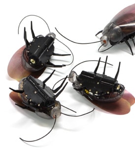 roachbot-iphone-controlled-pest