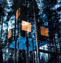 An Inspiring Mirrored Treehouse Design You’ll Want To Experience An Inspiring Mirrored Treehouse Design You’ll Want To Experience