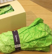 Vegetabrella: The Umbrella Inspired By A Head Of Lettuce Vegetabrella: The Umbrella Inspired By A Head Of Lettuce