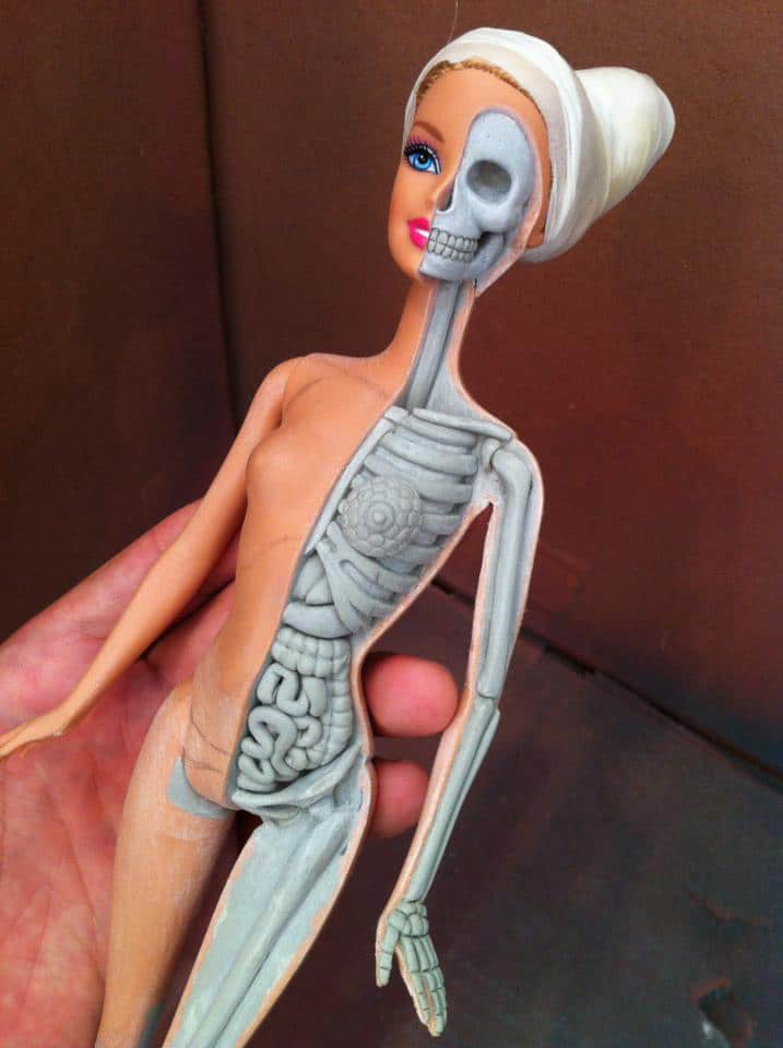 Barbie-Anatomy-Jason-Freeny