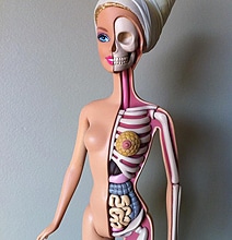 The Barbie Design That Exposes Her Real Anatomy