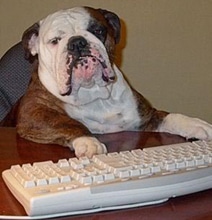 How To Dog-Proof Your Computer [Infographic]