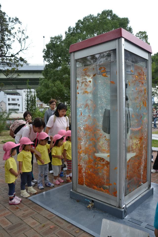 Goldfish-Aquariums-Phone-Booth