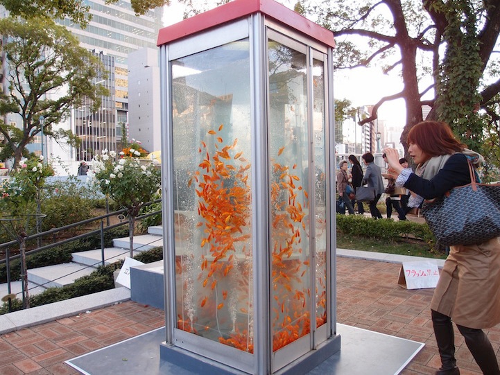 Goldfish-Aquariums-Phone-Booth