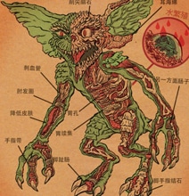 Anatomy Posters Of Legendary Movie Monsters
