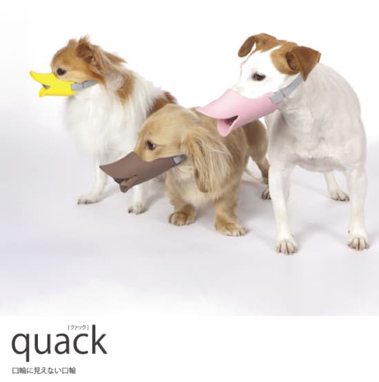dog-muzzle-duck-concept