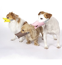 Dog Muzzle Concept Aims To End All The Quacking