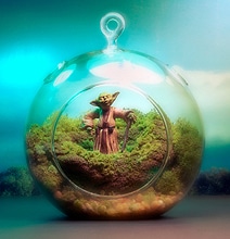 Star Wars Worlds Bundled In Miniature Terrariums Star Wars Worlds Bundled In Miniature Terrariums