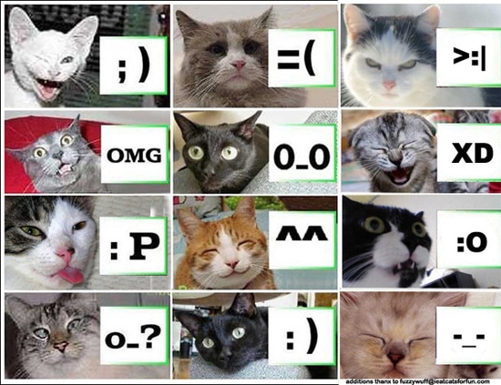 cats-guide-to-emoticons-chart
