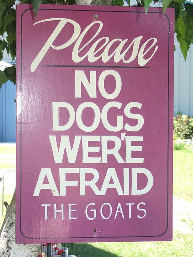 funny-grammar-mistakes-on-signs