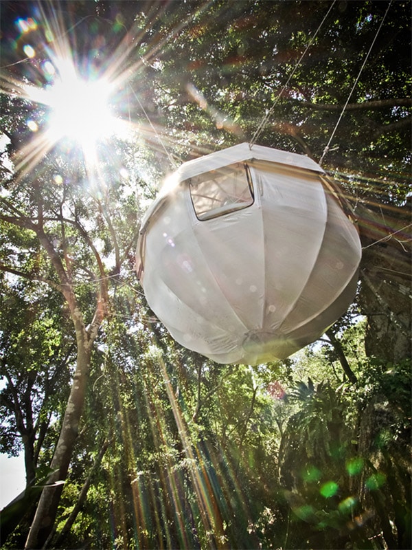 tree-tent-cocoon-concept