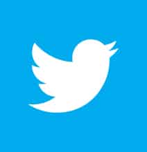 Twitter Marketing: What Results To Expect [Infographic]
