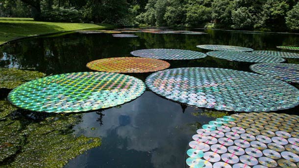 upcycled-cds-water-lily
