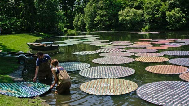 upcycled-cds-water-lily