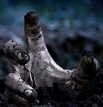 It Turns Out…A Real Zombie Apocalypse Is Possible After All