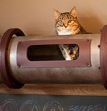 Creative Cat Transportation System For Your Home Office