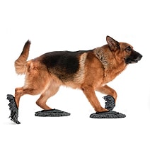 Pet Sweep: Let Your Dog Or Cat Do The Floor Sweeping