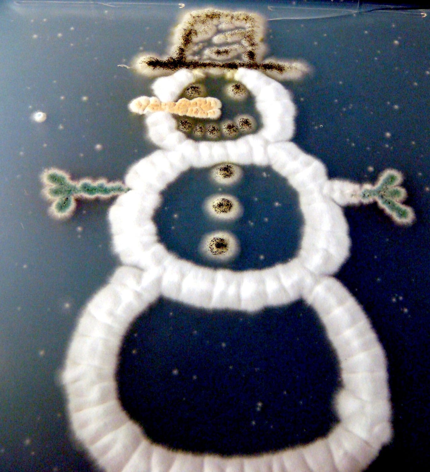 snowman-created-in-petri-dish