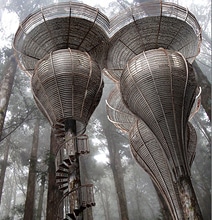 Live Like An Elf In An Extraordinary LOTR Treehouse Live Like An Elf In An Extraordinary LOTR Treehouse