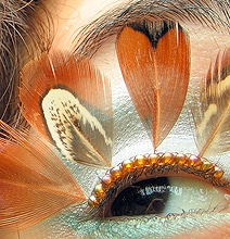 Extreme Eyelashes: The Most Outrageous Eye Jewelry Ever Created Extreme Eyelashes: The Most Outrageous Eye Jewelry Ever Created