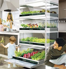 Grow A High Tech Vegetable Garden Right In Your Kitchen