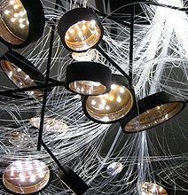 The Elegant Petri Dish Chandelier: Perfect For Biology & Science Geeks The Elegant Petri Dish Chandelier: Perfect For Biology & Science Geeks