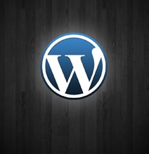 Most Effective SEO Hacks For Your WordPress Site [Infographic]
