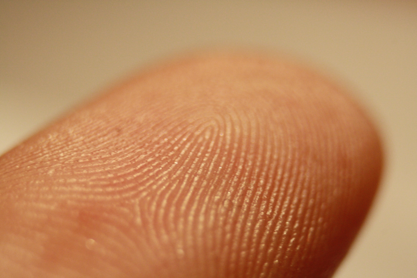 biometric-fingerprint-scan-store-purchases