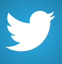 2013 Edition Of The Twitter Dictionary [Infographic]